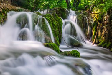 Hırvatistan 'ın Plitvice Gölleri' ndeki dünyanın en şaşırtıcı yerlerinden birinin çok sayıda şelalesi. Gerçekten bakire ve doğanın harika bir parçası..