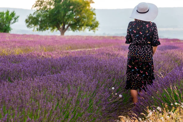 Girl Dress Flowers Big White Hat Lavender Fields Provence Valensole — Stock Photo, Image