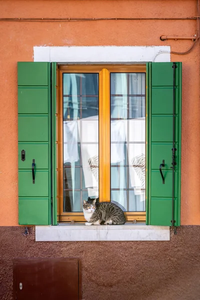 Pintoresca Pared Con Ventanas Con Persianas Gato Famosa Isla Burano — Foto de Stock