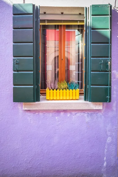 Malownicze Kolorowe Okna Okiennicami Słynnej Wyspie Burano Wenecja Włochy Rośliny — Zdjęcie stockowe