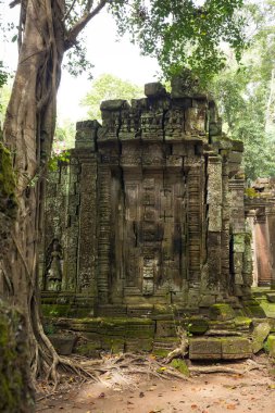 Angkor Wat 'taki tapınak kalıntıları, Siem Reap, Kamboçya.