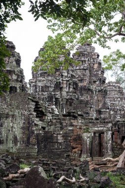 Angkor Wat 'taki tapınak kalıntıları, Siem Reap, Kamboçya.