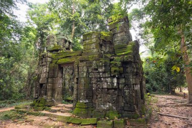Angkor Wat 'taki tapınak kalıntıları, Siem Reap, Kamboçya.