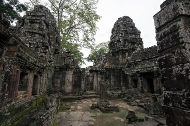 Angkor Wat 'taki tapınak kalıntıları, Siem Reap, Kamboçya.