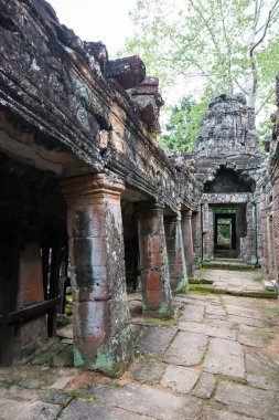 Angkor Wat 'taki tapınak kalıntıları, Siem Reap, Kamboçya.