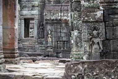 Angkor Wat 'taki tapınak kalıntıları, Siem Reap, Kamboçya.
