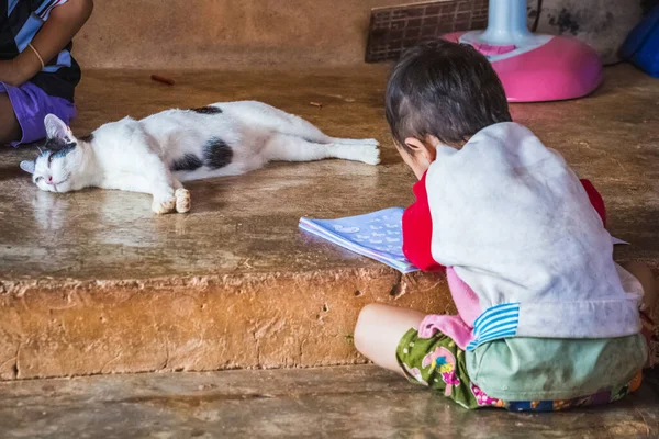 Uzun boyunlu Karen kabilesinin okulunda okuyan küçük bir çocuk. Tayland, Chiang Rai 'de şirin kedi yerde dinleniyor..