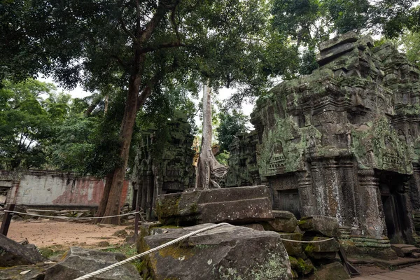 Ruinas Del Templo Angkor Wat Siem Reap Camboya — Foto de Stock