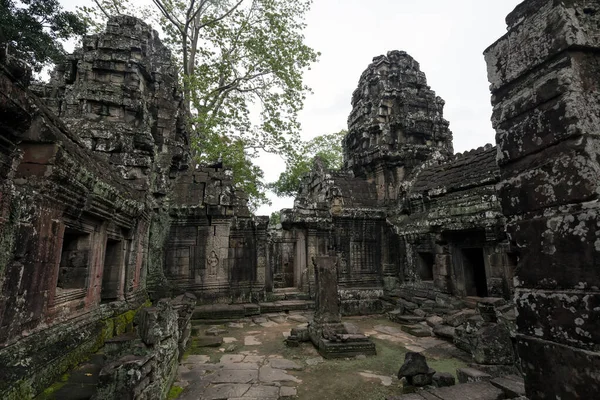 Ruinas Del Templo Angkor Wat Siem Reap Camboya —  Fotos de Stock