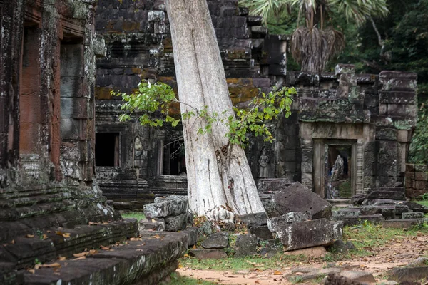 Ruinas Del Templo Angkor Wat Siem Reap Camboya — Foto de Stock