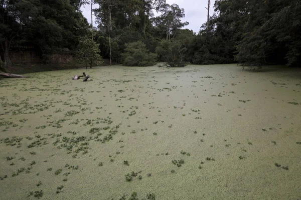 Bagno Kompleksie Angkor Wat Siem Reap Kambodża Letni Dzień — Zdjęcie stockowe