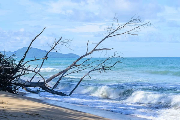 Yağışlı sezon sırasında deniz ve mavi gökyüzü