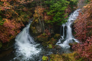 Bir yağmurlu günde Nikko Japonya ve Take resimleri sonbahar ile Ryuzu düşüyor.