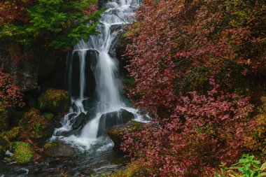 Nikko Japonya'da sonbahar renkleri ve Ryuzu şelale
