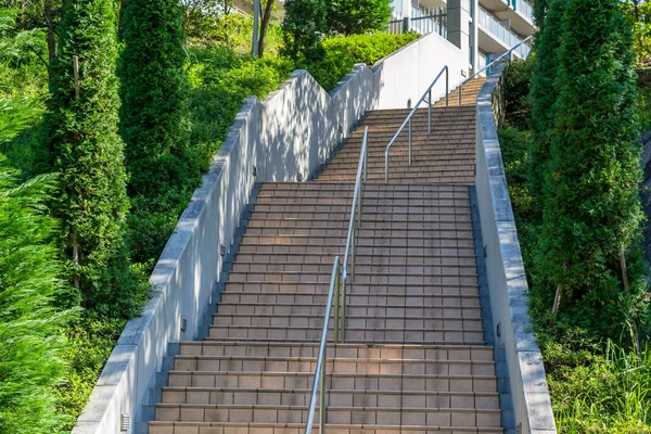 Escaliers Béton Avec Arbre Japon — Photo