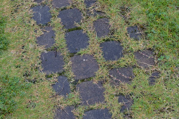 Stone Bakstenen Vloer Loopbrug Met Gras — Stockfoto