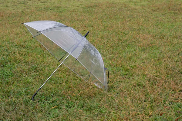 A clear umbrella placed on the lawn.