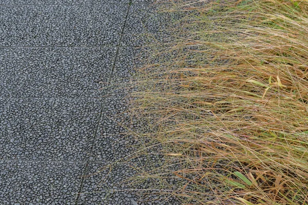 Black Stone Pathway Com Fundo Grama — Fotografia de Stock