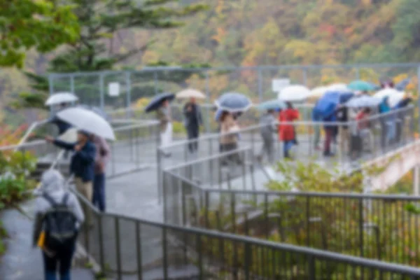 Touristes Flous Promènent Autour Parapluie Pour Voir Cascade Kegon Nikko — Photo