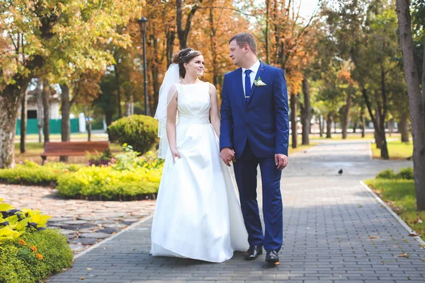 Belo dia de casamento — Fotografia de Stock