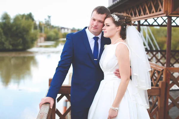 Belo dia de casamento — Fotografia de Stock