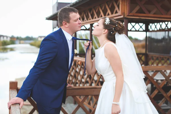 Belo dia de casamento — Fotografia de Stock