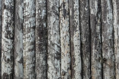 Eski Ağaç Yapısı Arkaplan Şablonu