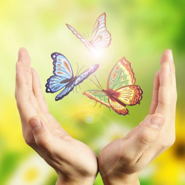 Kelebek ve çiçek çiçek arka plan