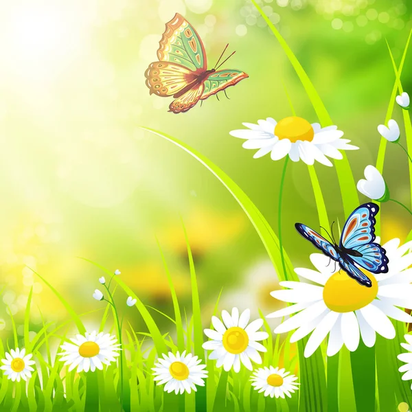 Free Vectors: Spring Green Floral Background with Butterfly