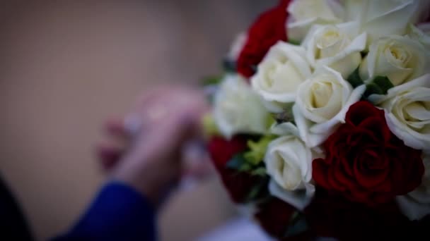 Anillos de boda en los dedos de la novia y el novio — Vídeo de stock