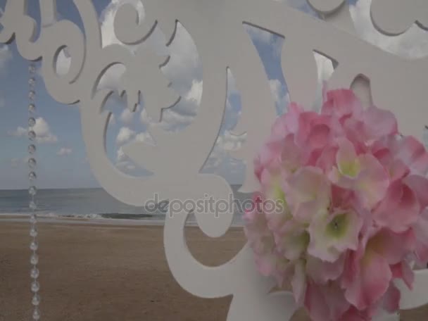 Cérémonie de mariage sur la plage — Video