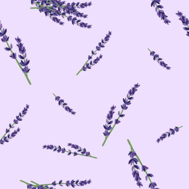 Lavanta çiçek pembe bir arka plan desen doku örneği için lavanta ile Seamless Modeli.