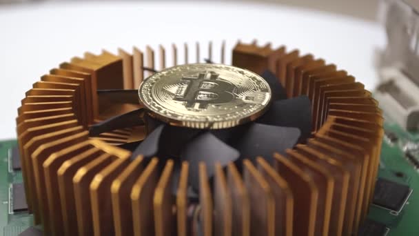 Bitcoin berputar pada kartu grafis pendinginan closeup — Stok Video