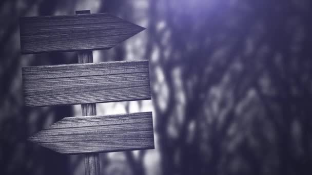 Placa de madera oscura por la noche, sobre el fondo del bosque nocturno, oscura composición aterradora — Vídeos de Stock