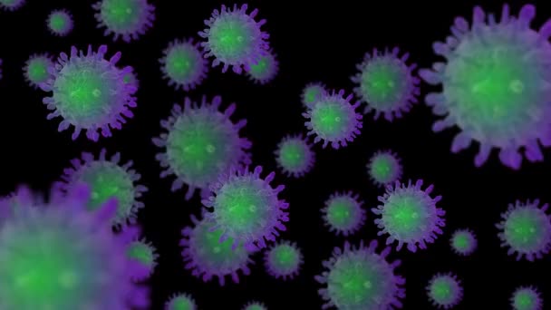 Paarse en groene cellen van bacteriën of covid-19-virussen, cellen die willekeurig bewegen en roteren tegen een zwart scherm, isolatie, het concept van ziekteverwekkende cellen — Stockvideo