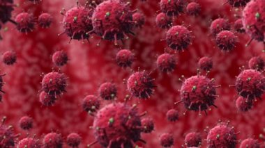 kırmızı bakteri veya covid-19 virüsü, hücreler rastgele hareket eder ve insan organlarının kırmızı zeminine karşı döner, izolasyon