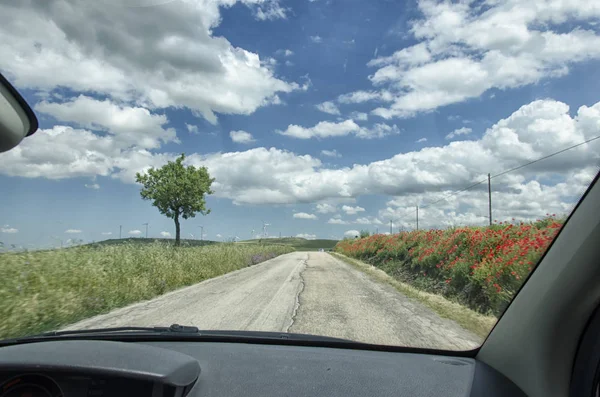 Estrada rural italiana rodeada de papoilas — Fotografia de Stock