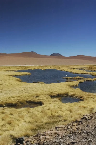 Picturesque landscape in the cordillera — Stock Photo, Image