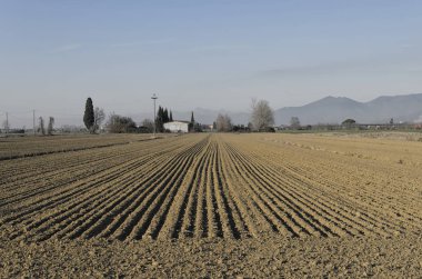 İtalyan sahne paralel çizgiler
