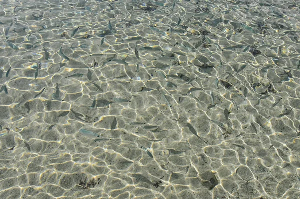 Het kristalwater van de Sardinië — Stockfoto