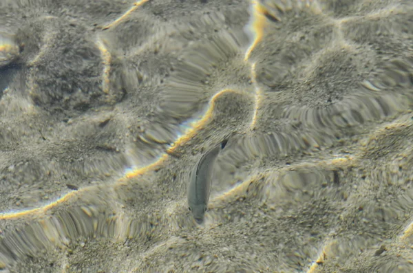 De veelkleurige zee van het Sardinië — Stockfoto