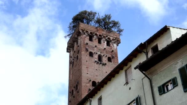 Wieża Guinigi i drzewa na dachu — Wideo stockowe