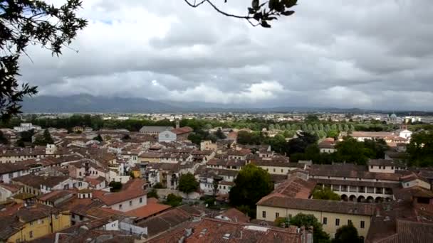 Ciudad de Lucca vista desde la Torre Guinigi — Vídeos de Stock