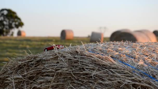 Car on a round straw bale — Stock Video