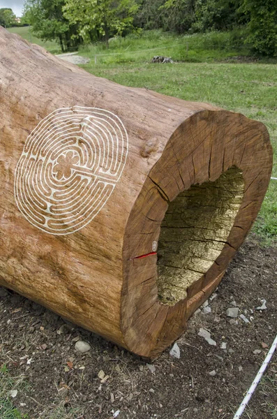 Mysterious maze engraved on a tree