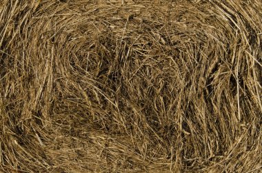 Saman balya arka plan doku yuvarlak