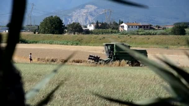 Sube a bordo de una cosechadora en el campo italiano — Vídeo de stock