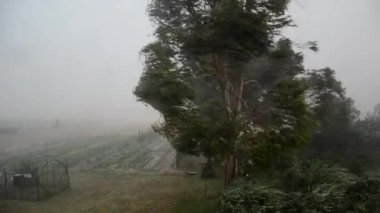 Bir kasırganın gücü