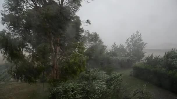 L "œil d'un cyclone 