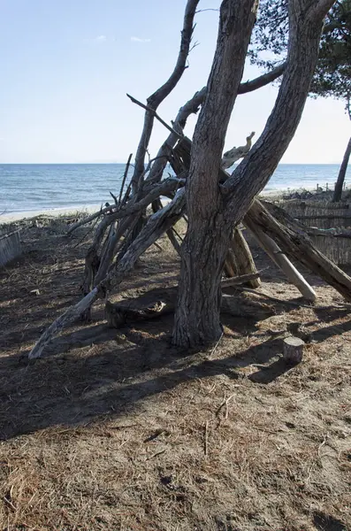 Bir kazazede barınak